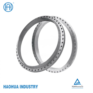 Stainless Steel Alloy Steel Forged/Forging Disks (Discs)