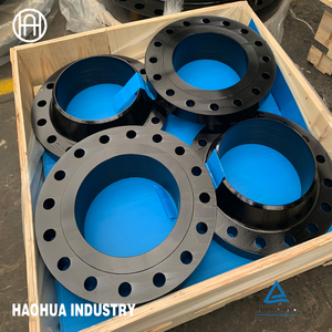 Forged Carbon Steel Stainless Steel Pipe Flanges