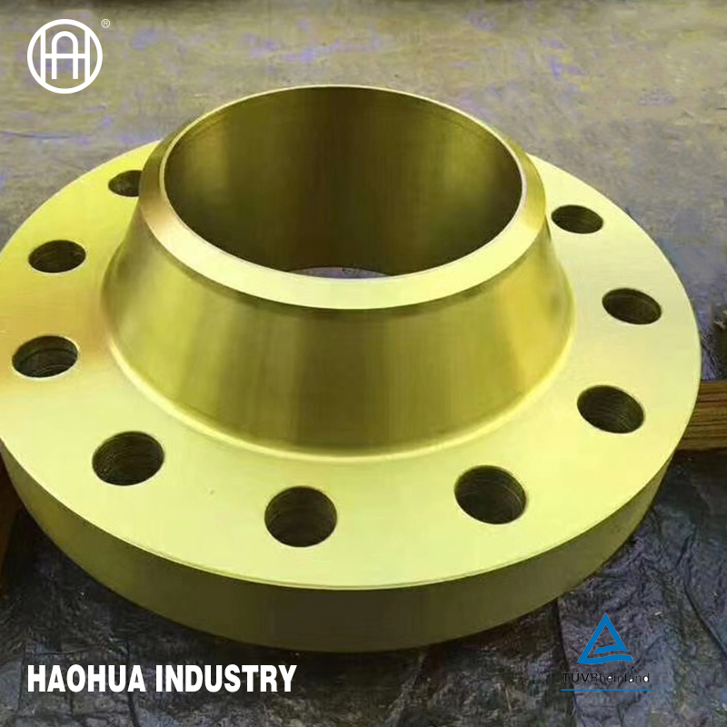 Forged Weld Neck Steel Flange Wn Flange Pipe Flanges