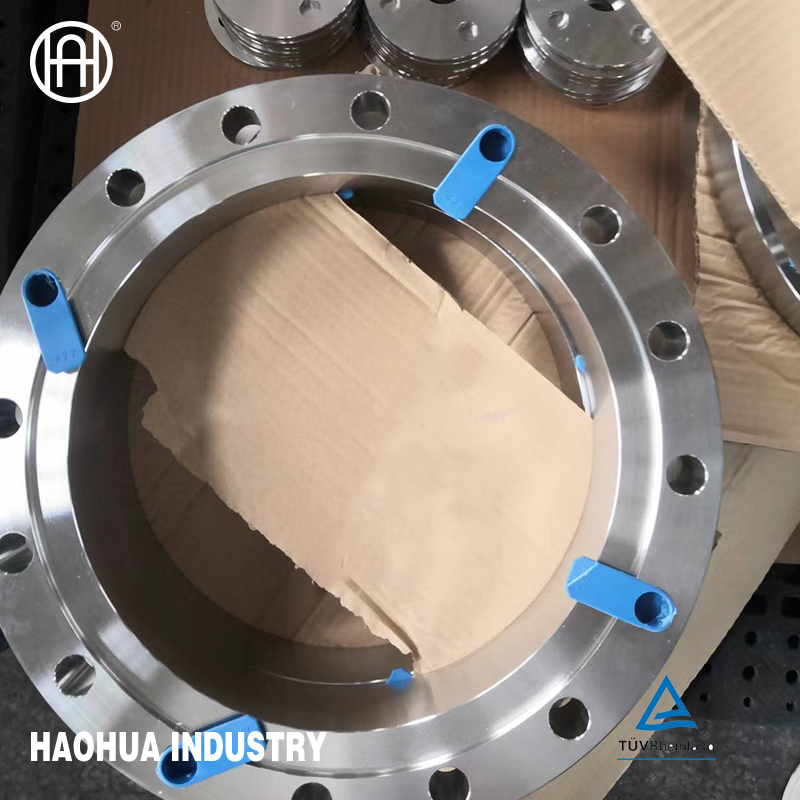 ASME ANSI B16.5 DIN En1092 GOST Forged Stainless Steel Flange