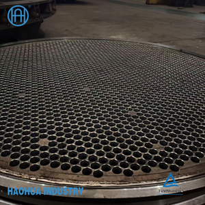 SS304 316 Forged Tube Sheet for Heat Exchanger