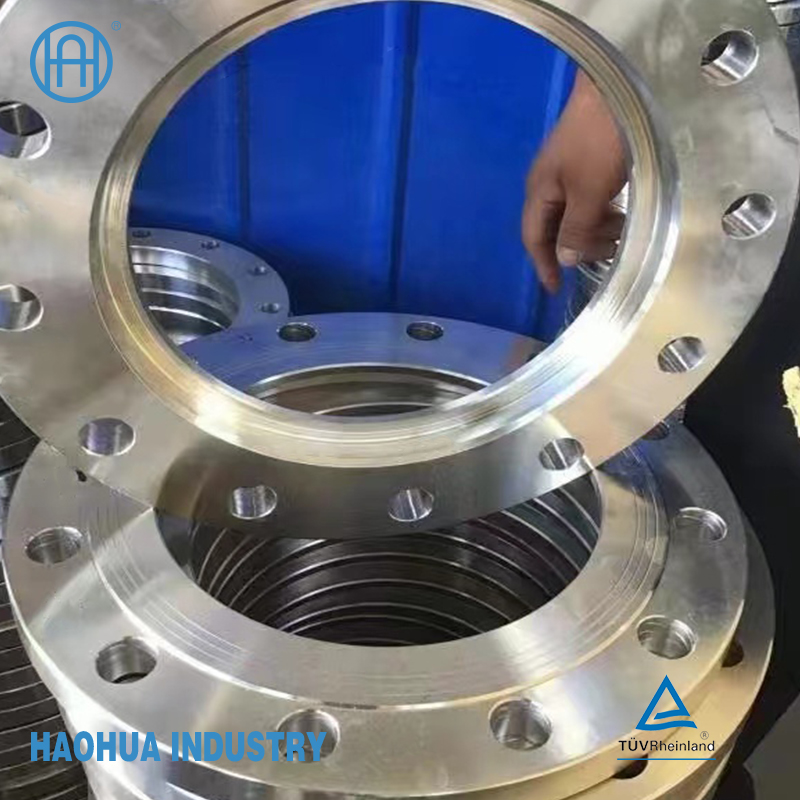 Flange DIN RF SUS Stainless Steel Forged Flanges
