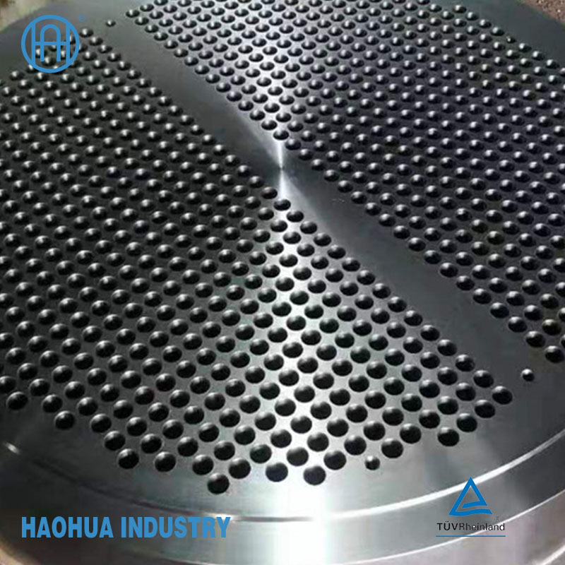 Stainless Steel Tube Sheet /Forge Part/Tube Sheet