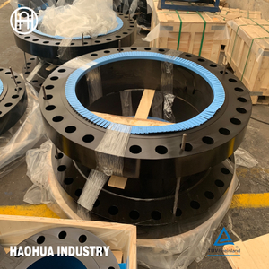 Forged Carbon Steel Stainless Steel Pipe Flanges