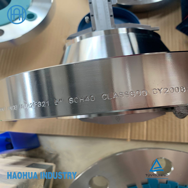 ANSI B16.9 SS316L Stainless Steel Flange