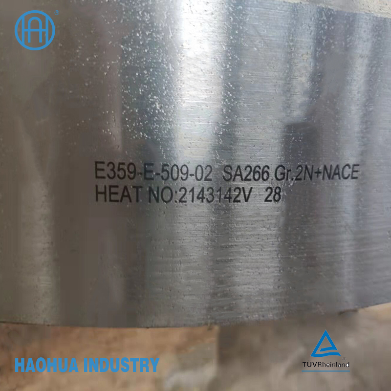 Flange DIN RF SUS Stainless Steel Forged Flanges