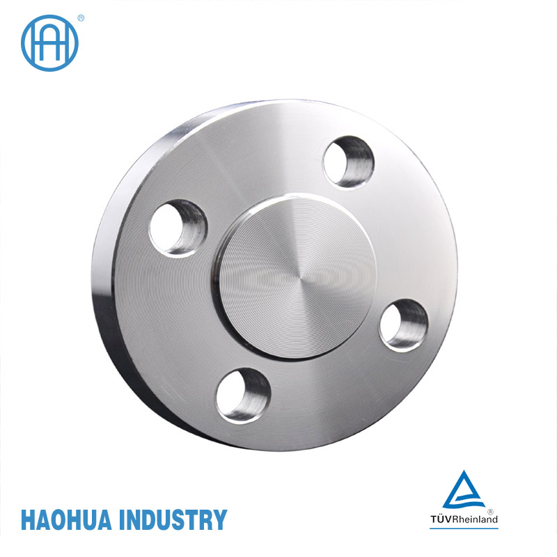 ASME ANSI B16.5 DIN En1092 GOST Forged Stainless Steel Flange
