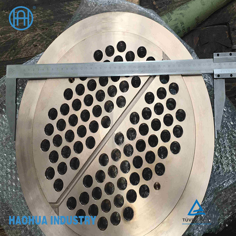 Customized ASTM All Material Forging Heat Exchanger Tube Sheet