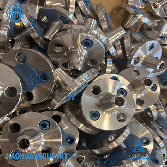 Forged SA 105 Standard Flange 2