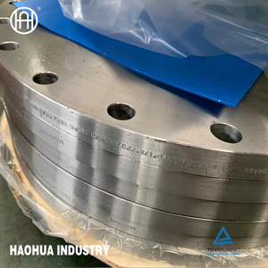 BS4504 DIN Pn16 Plate RF Stainless Steel 304 316L Flange