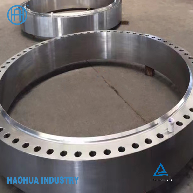 ANSI B16.9 SS316L Stainless Steel Flange