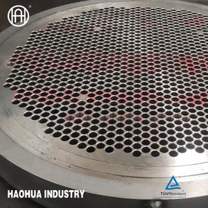 304 316 Customized Forged Tube Sheet for Tubular Heat Exchanger Tubesheet